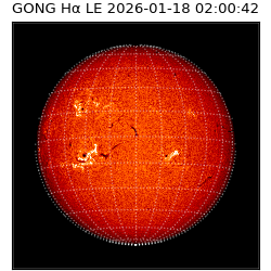 gong - 2026-01-18T02:00:42