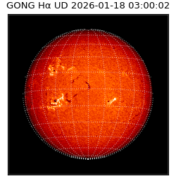 gong - 2026-01-18T03:00:02