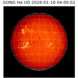 gong - 2026-01-18T04:00:02
