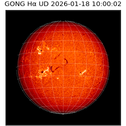 gong - 2026-01-18T10:00:02