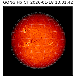 gong - 2026-01-18T13:01:42