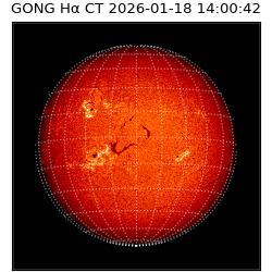 gong - 2026-01-18T14:00:42