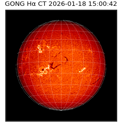 gong - 2026-01-18T15:00:42