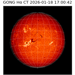 gong - 2026-01-18T17:00:42