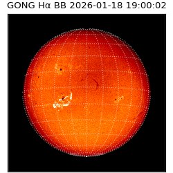 gong - 2026-01-18T19:00:02