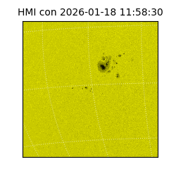 shmi - 2026-01-18T11:58:30