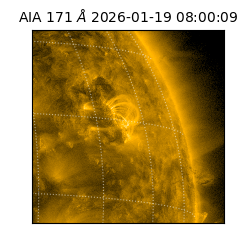 saia - 2026-01-19T08:00:09.340000