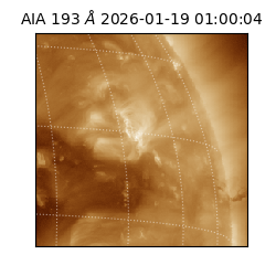 saia - 2026-01-19T01:00:04.843000