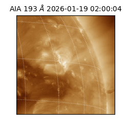 saia - 2026-01-19T02:00:04.843000