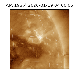 saia - 2026-01-19T04:00:05.230000