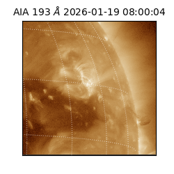 saia - 2026-01-19T08:00:04.830000