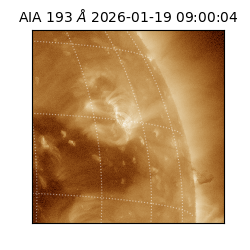 saia - 2026-01-19T09:00:04.840000