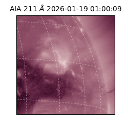 saia - 2026-01-19T01:00:09.632000