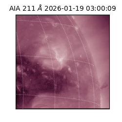 saia - 2026-01-19T03:00:09.625000