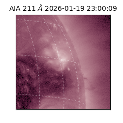 saia - 2026-01-19T23:00:09.630000