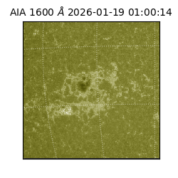 saia - 2026-01-19T01:00:14.125000