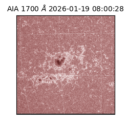saia - 2026-01-19T08:00:28.720000