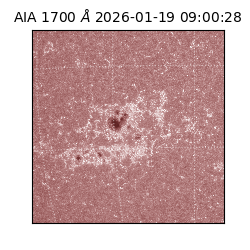 saia - 2026-01-19T09:00:28.720000