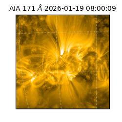 saia - 2026-01-19T08:00:09.340000