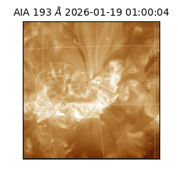 saia - 2026-01-19T01:00:04.843000