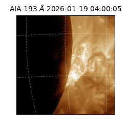 saia - 2026-01-19T04:00:05.230000