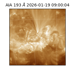 saia - 2026-01-19T09:00:04.840000