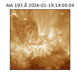 saia - 2026-01-19T19:00:04.850000