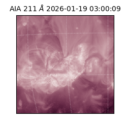 saia - 2026-01-19T03:00:09.625000