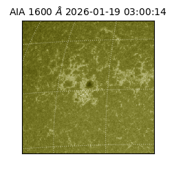 saia - 2026-01-19T03:00:14.126000