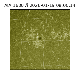 saia - 2026-01-19T08:00:14.120000
