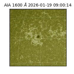 saia - 2026-01-19T09:00:14.130000