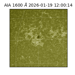 saia - 2026-01-19T12:00:14.130000