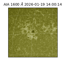 saia - 2026-01-19T14:00:14.130000