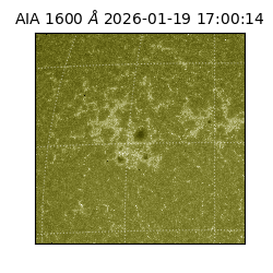 saia - 2026-01-19T17:00:14.130000