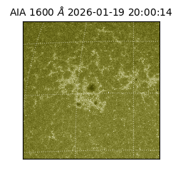 saia - 2026-01-19T20:00:14.130000