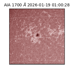 saia - 2026-01-19T01:00:28.721000