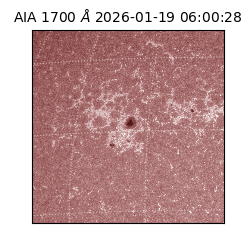 saia - 2026-01-19T06:00:28.720000