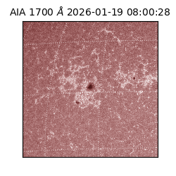 saia - 2026-01-19T08:00:28.720000