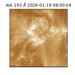 saia - 2026-01-19T08:00:04.830000