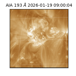 saia - 2026-01-19T09:00:04.840000