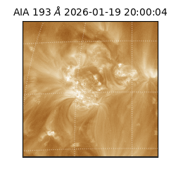 saia - 2026-01-19T20:00:04.850000