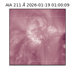 saia - 2026-01-19T01:00:09.632000