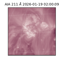 saia - 2026-01-19T02:00:09.632000