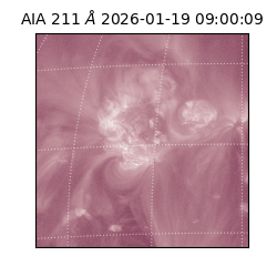 saia - 2026-01-19T09:00:09.630000