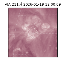 saia - 2026-01-19T12:00:09.630000