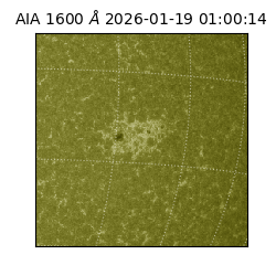 saia - 2026-01-19T01:00:14.125000