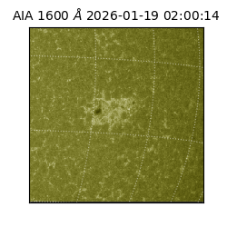 saia - 2026-01-19T02:00:14.126000