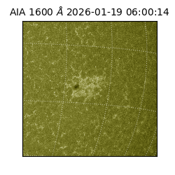 saia - 2026-01-19T06:00:14.130000