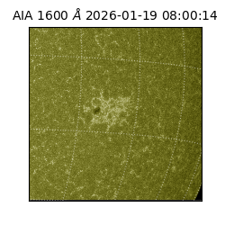 saia - 2026-01-19T08:00:14.120000