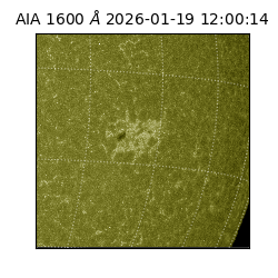 saia - 2026-01-19T12:00:14.130000